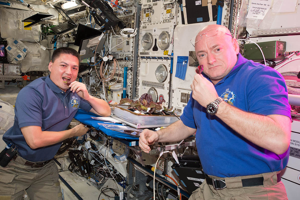 cott Kelly and Kjell Lindgren on the International Space Station tasting the 1st food grown, harvested and eaten in space in August 2015.